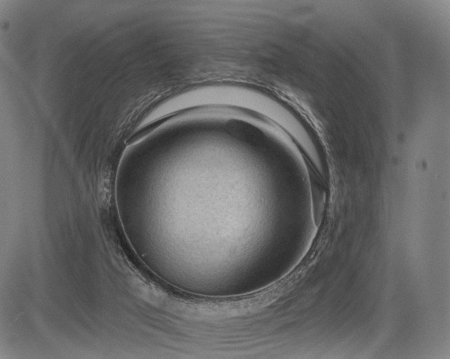 X0000083610017200702201302