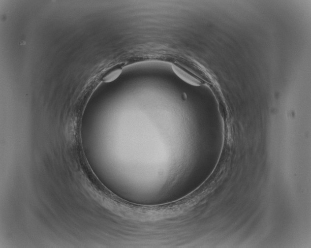 X0000083610018200702201302