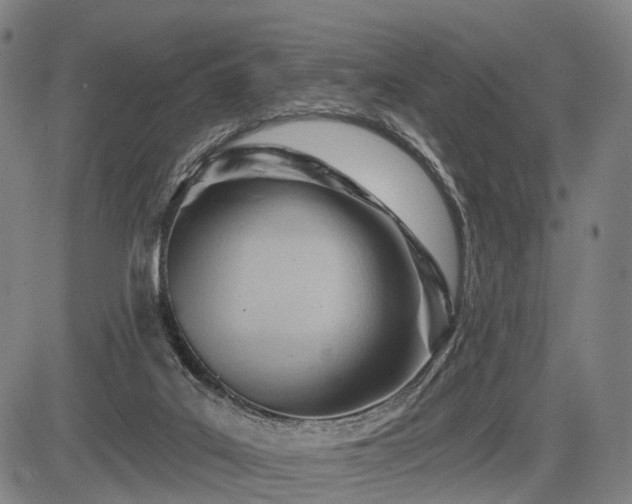 X0000083610019200702201302