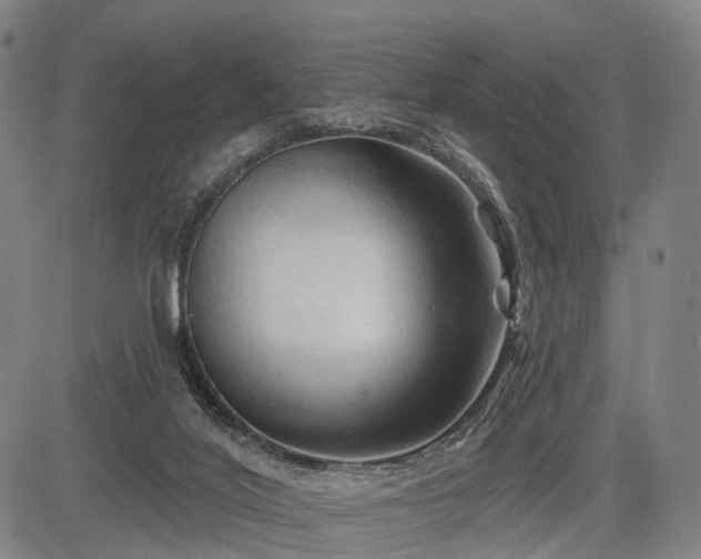 X0000083610020200702201302