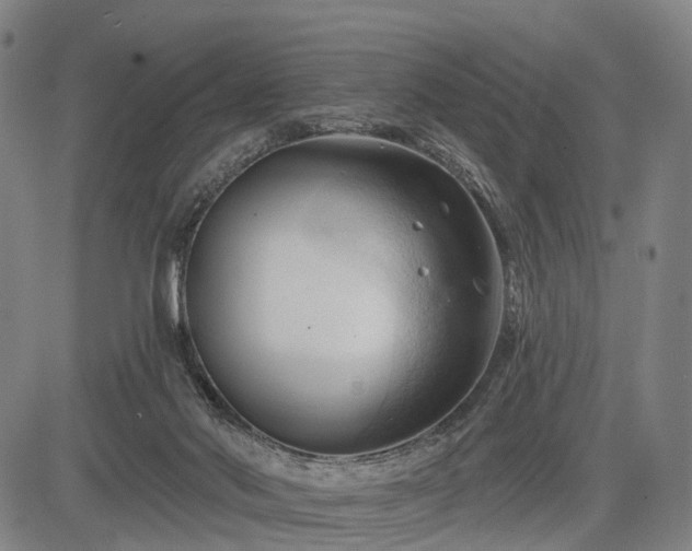 X0000083610022200702201302