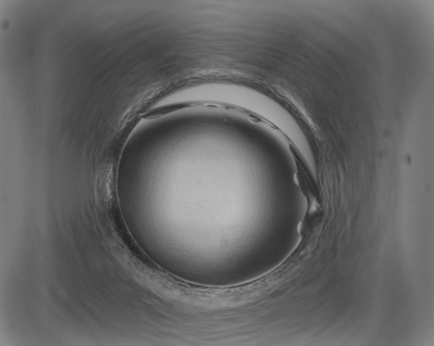 X0000083610023200702201302