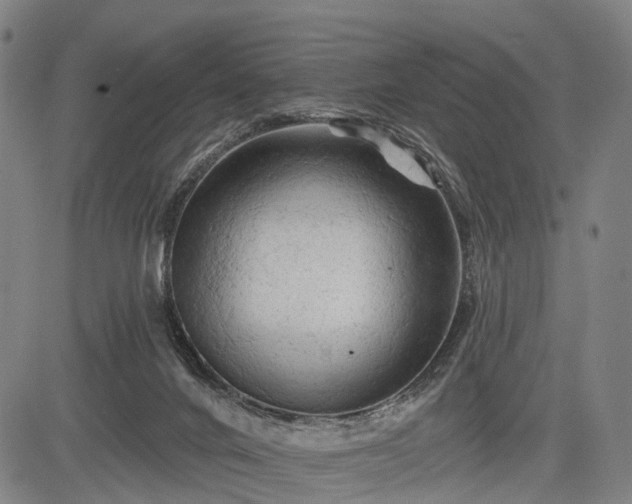 X0000083610024200702201302