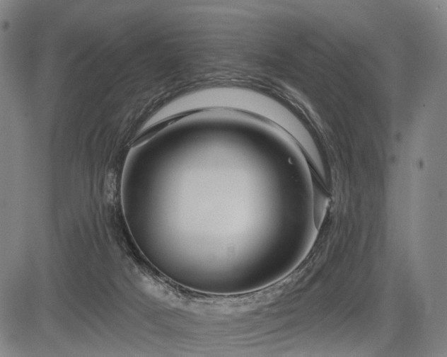 X0000083610025200702201301