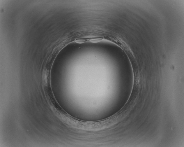 X0000083610026200702201301