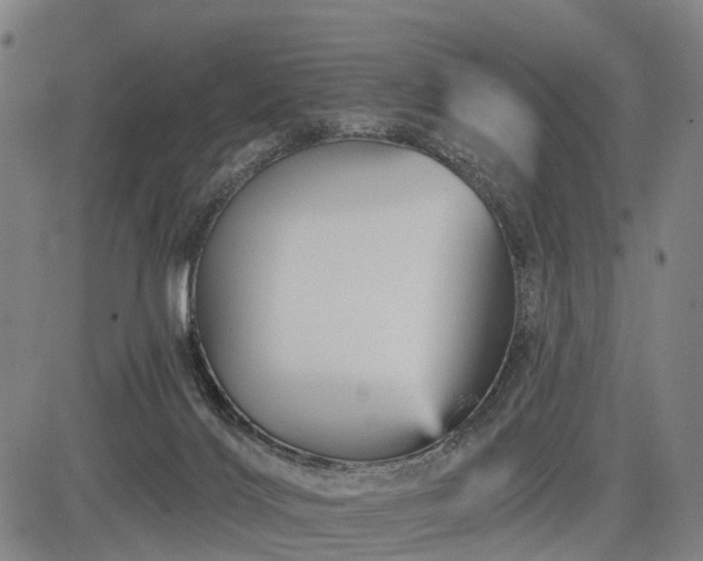 X0000083610028200702201301