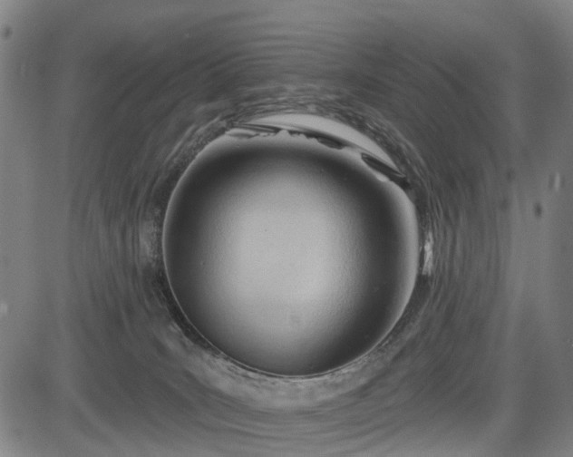 X0000083610035200702201301