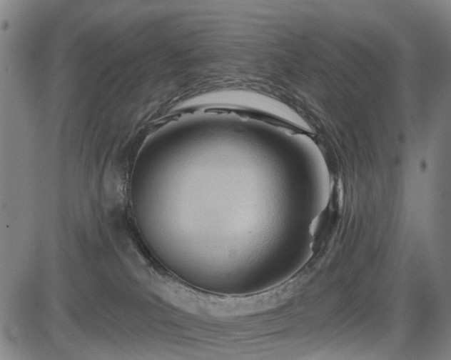 X0000083610039200702201301