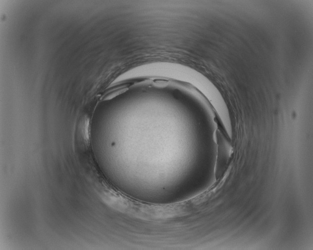 X0000083610041200702201301