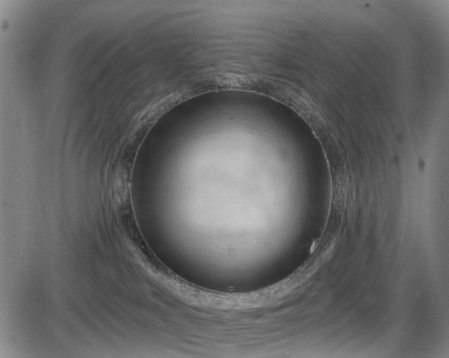 X0000083610043200702201301