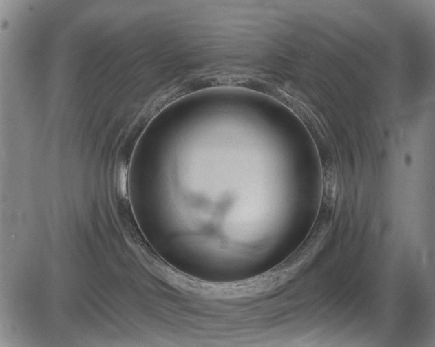 X0000083610046200702201301