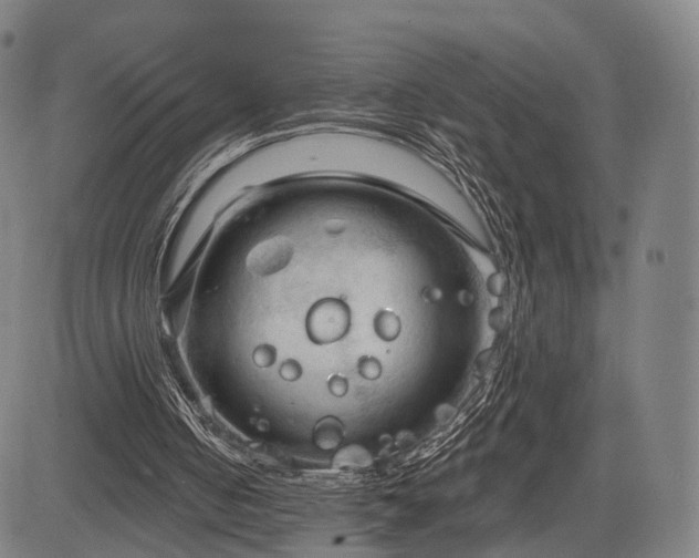 X0000083610050200702201300