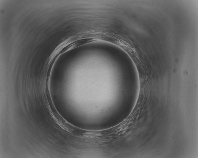 X0000083610051200702201300