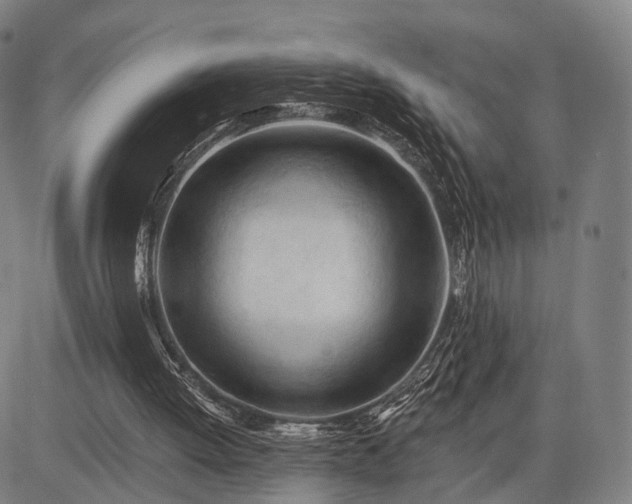 X0000083610052200702201300