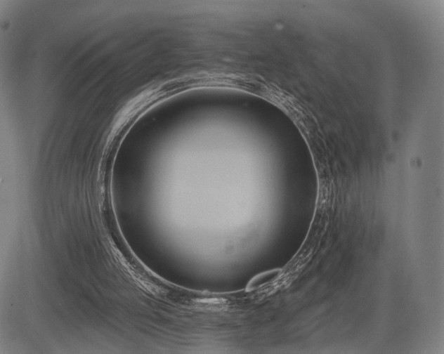 X0000083610053200702201300