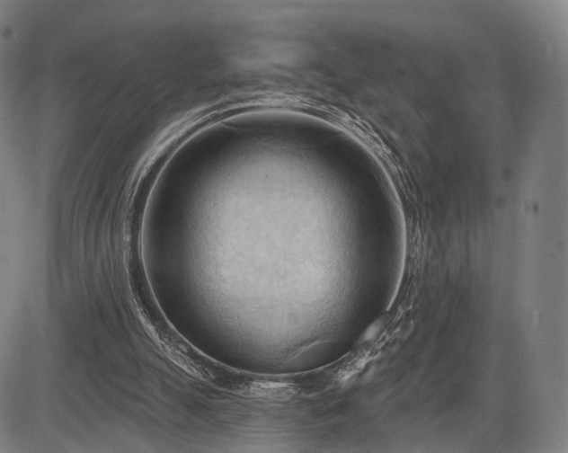 X0000083610055200702201300