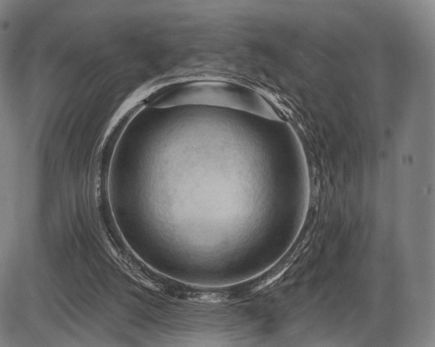 X0000083610056200702201300