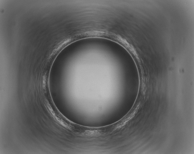 X0000083610057200702201300