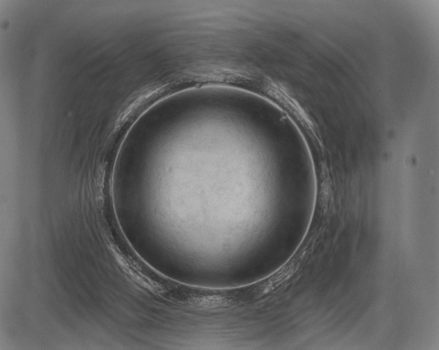 X0000083610058200702201300