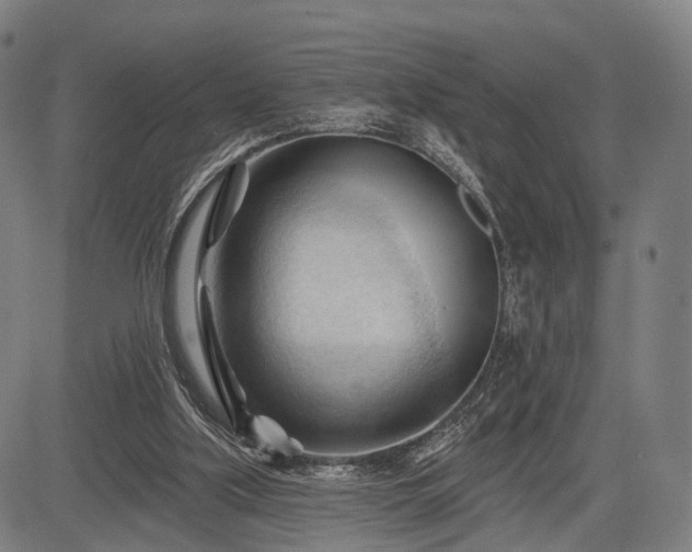 X0000083610059200702201300