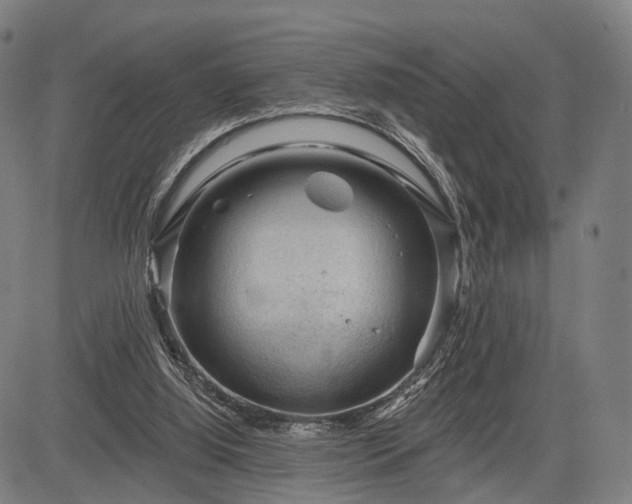 X0000083610060200702201300