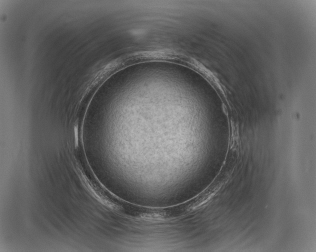 X0000083610061200702201300