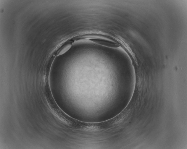 X0000083610063200702201301