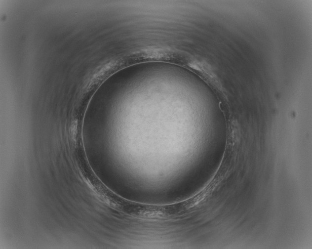 X0000083610066200702201301