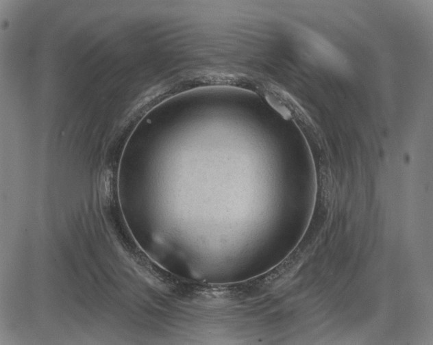 X0000083610071200702201301