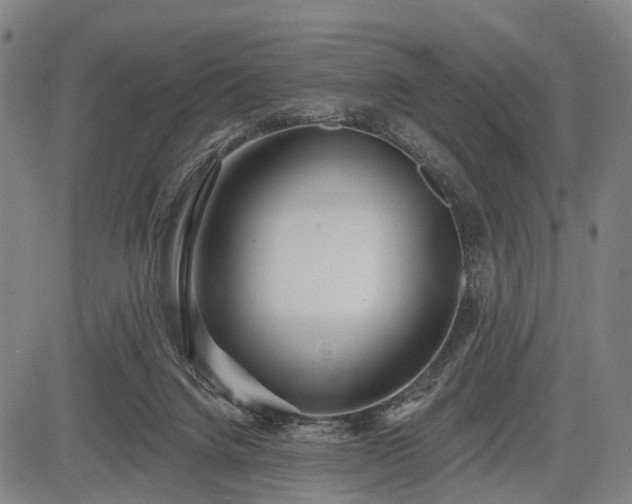 X0000083610072200702201301