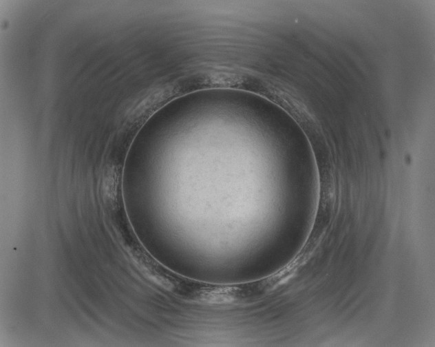 X0000083610078200702201301