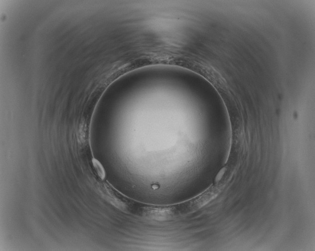 X0000083610081200702201301