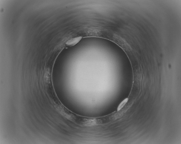 X0000083610083200702201301