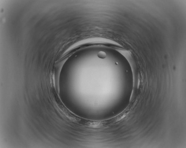 X0000083610088200702201301