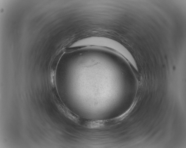 X0000083610094200702201301