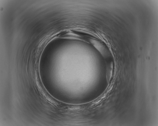 X0000083610097200702201300