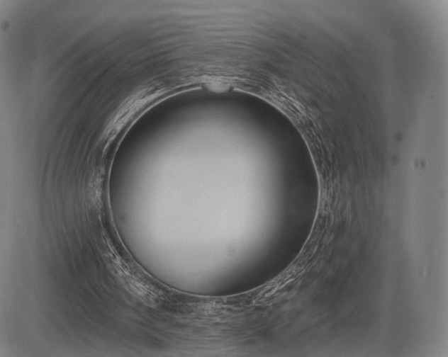 X0000083610098200702201300