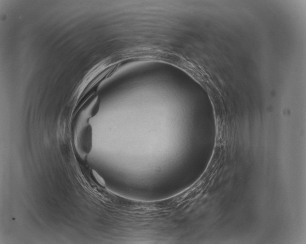 X0000083610099200702201300