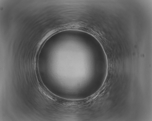 X0000083610100200702201300