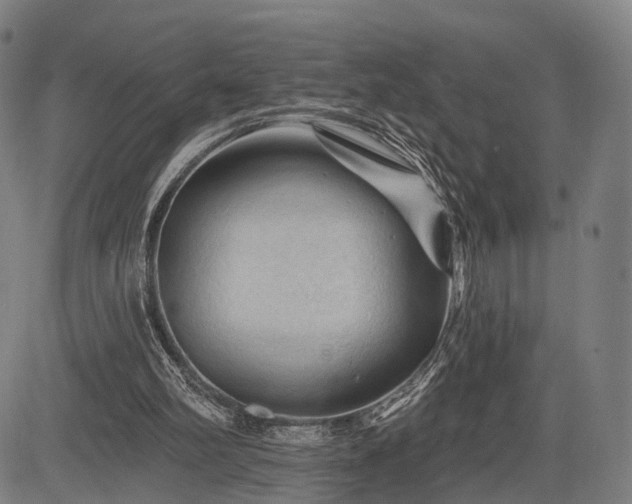 X0000083610102200702201300