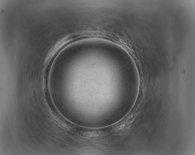 X0000083610103200702201300