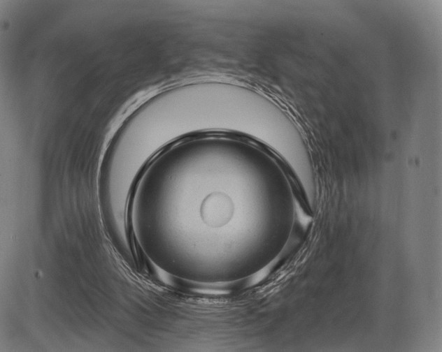 X0000083610104200702201300