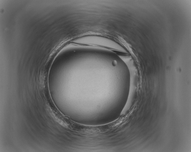 X0000083610106200702201300