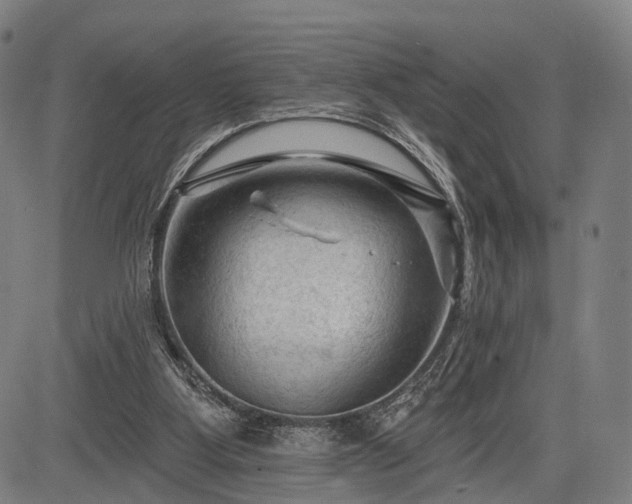 X0000083610107200702201300