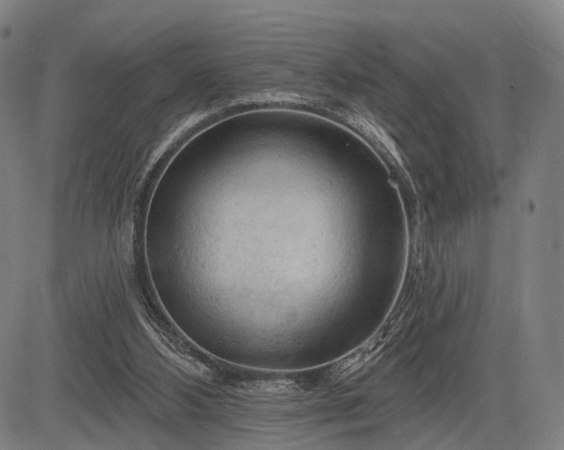 X0000083610108200702201300