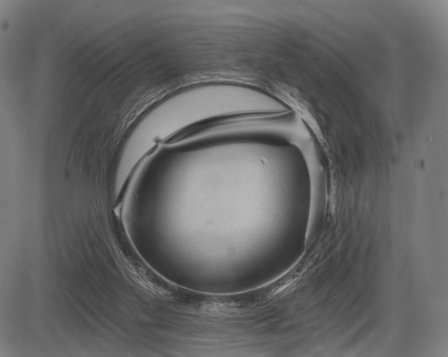 X0000083610109200702201300