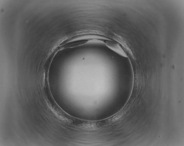 X0000083610110200702201300