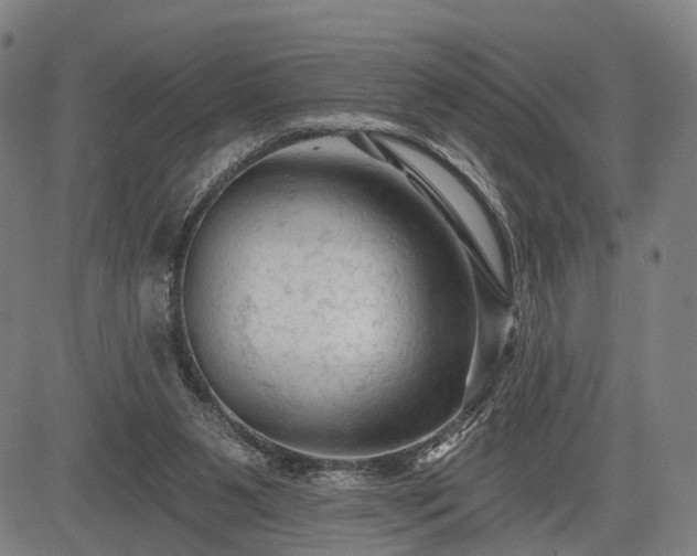 X0000083610111200702201300