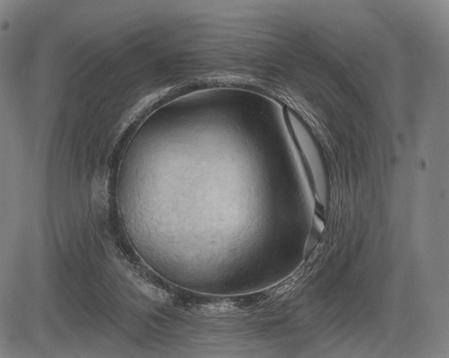 X0000083610112200702201300