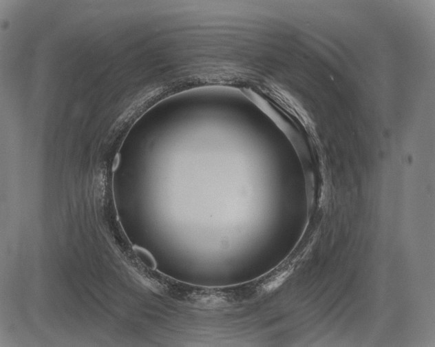 X0000083610113200702201300